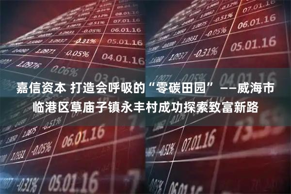 嘉信资本 打造会呼吸的“零碳田园” ——威海市临港区草庙子镇永丰村成功探索致富新路