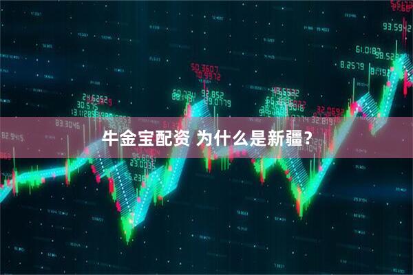 牛金宝配资 为什么是新疆?